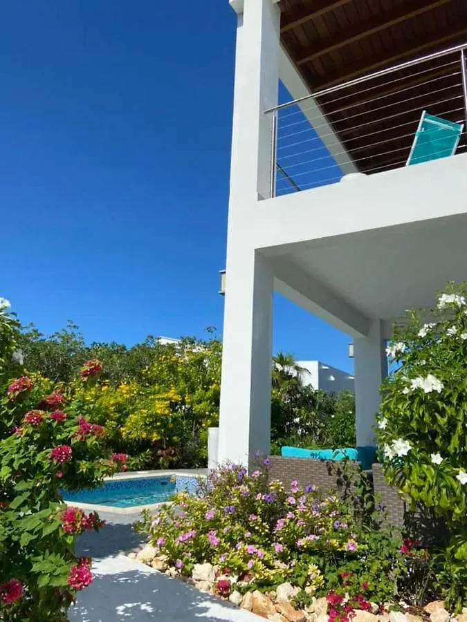 Gracehaven Villas -Choose You Own Private Villa With Pool - 250 Yds To Grace Bay Beach The Bight Settlements